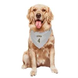 San Diego Padres Jase Bowen White/Brown Pet Bandana for Dog & Cat