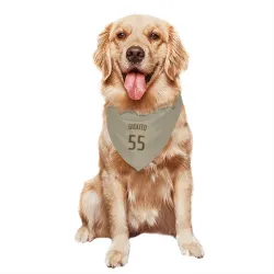 San Diego Padres Lucas Giolito Tan Pet Bandana for Dog & Cat