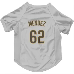 San Diego Padres Miguel Mendez White/Brown Pet Jersey for Dog & Cat